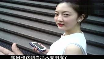 囚鸟与海,自由与束缚的交响曲