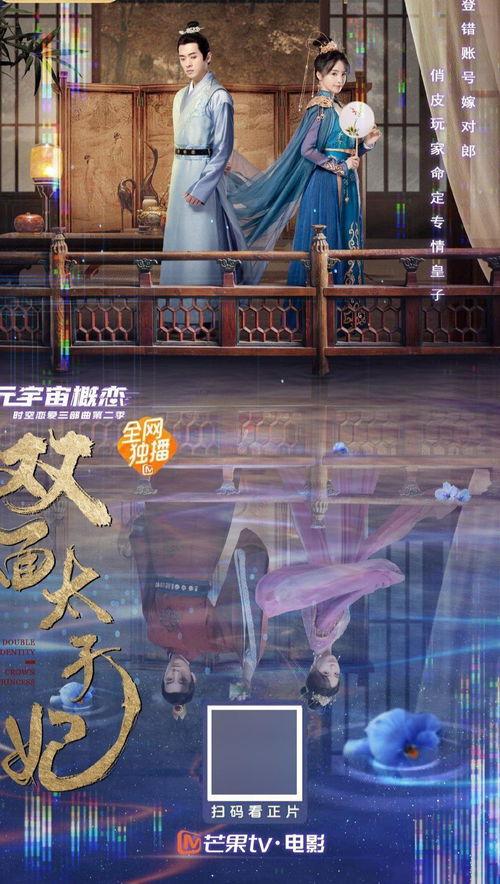 双面太子妃,宫廷权谋与爱情纠葛的华丽演绎