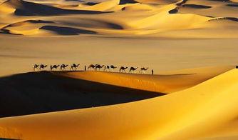 撒哈拉,非洲大陆的沙漠奇迹与挑战