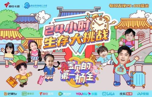 生计大挑战,逆境求生，揭秘生存智慧与团队协作